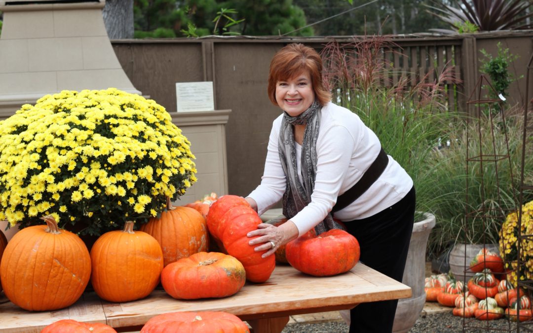 Exploring Enchanting Pumpkins of Fall
