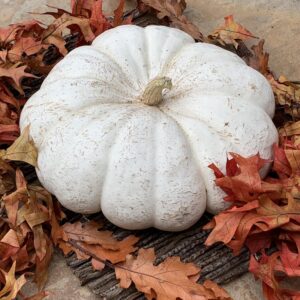 Fall Fruit...Pumpkins