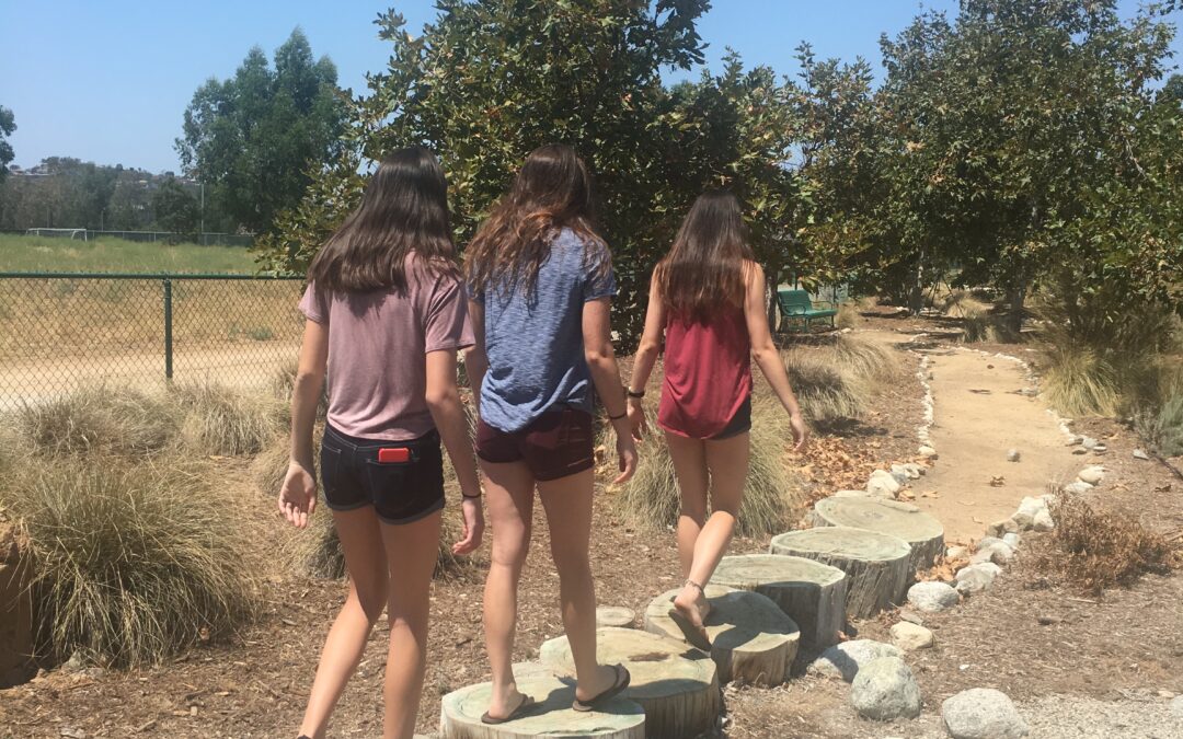 Hiking with Grandkids